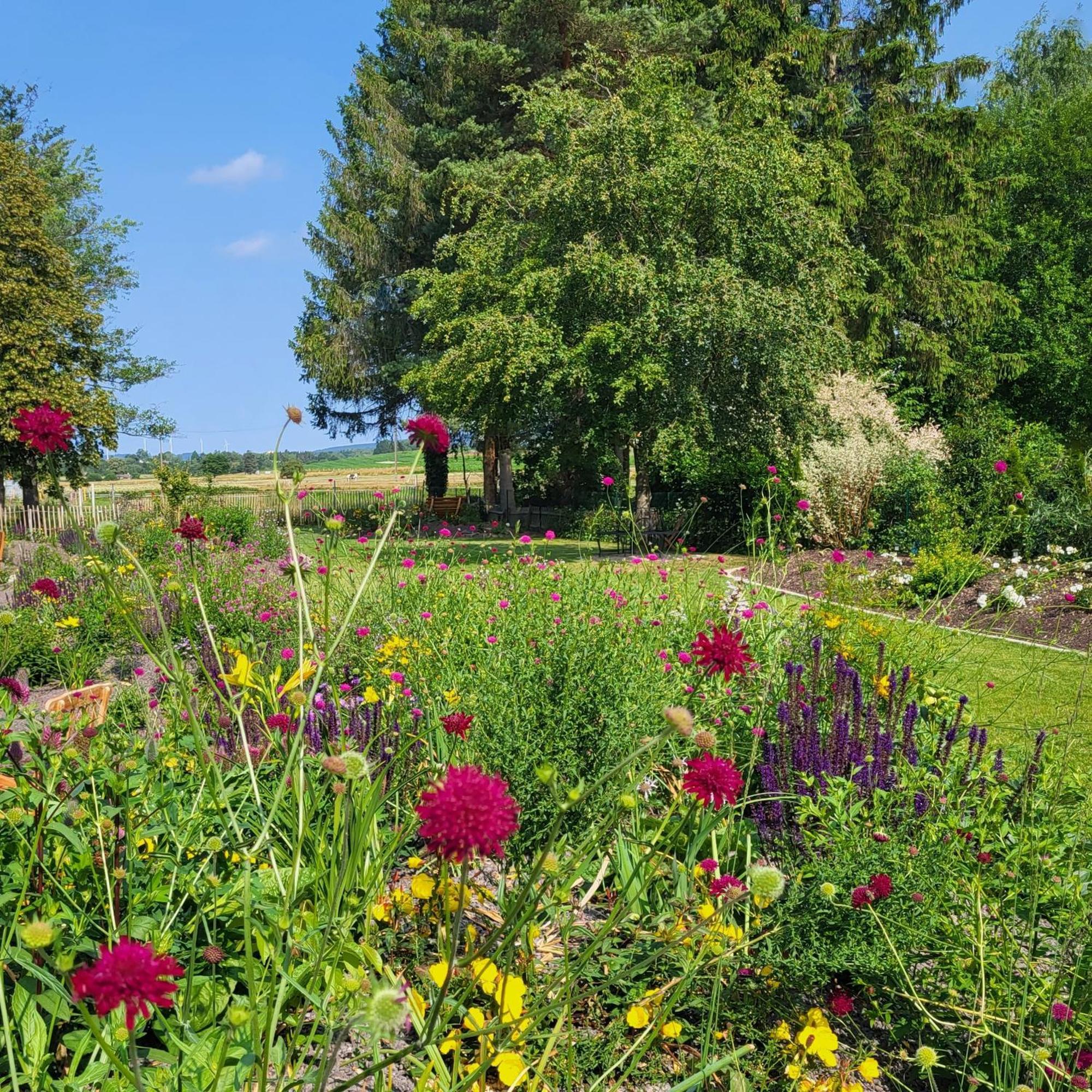 Komfort Ferienwohnungen Mit Wellness-Garten - Gaestehaus Am Bachlauf - Losheim Am See Bagian luar foto