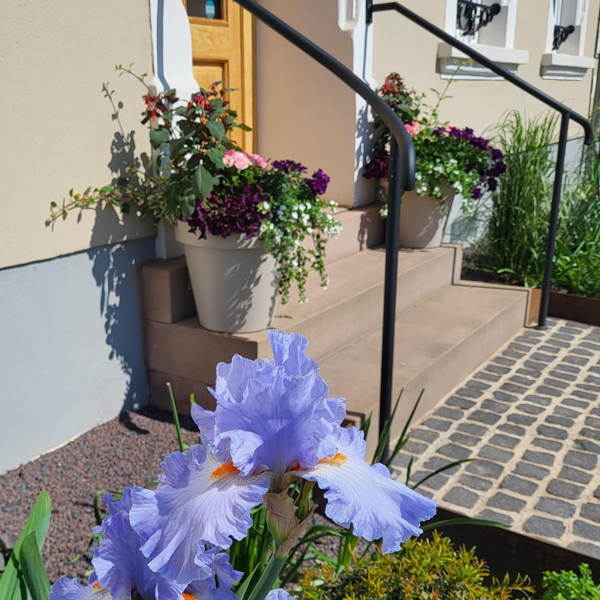 Komfort Ferienwohnungen Mit Wellness-Garten - Gaestehaus Am Bachlauf - Losheim Am See Ruang foto