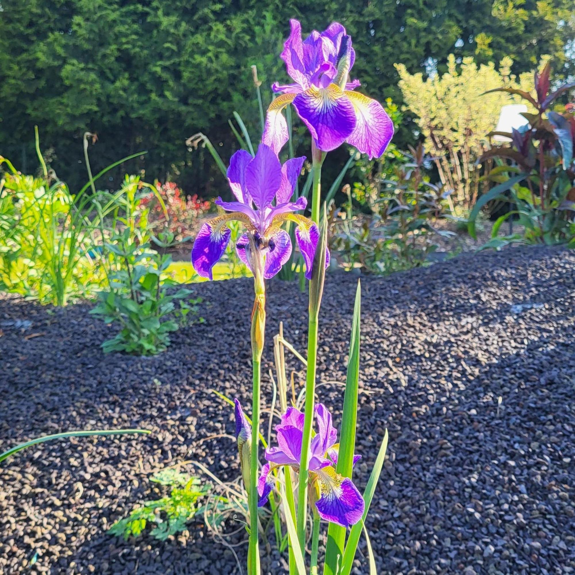 Komfort Ferienwohnungen Mit Wellness-Garten - Gaestehaus Am Bachlauf - Losheim Am See Ruang foto