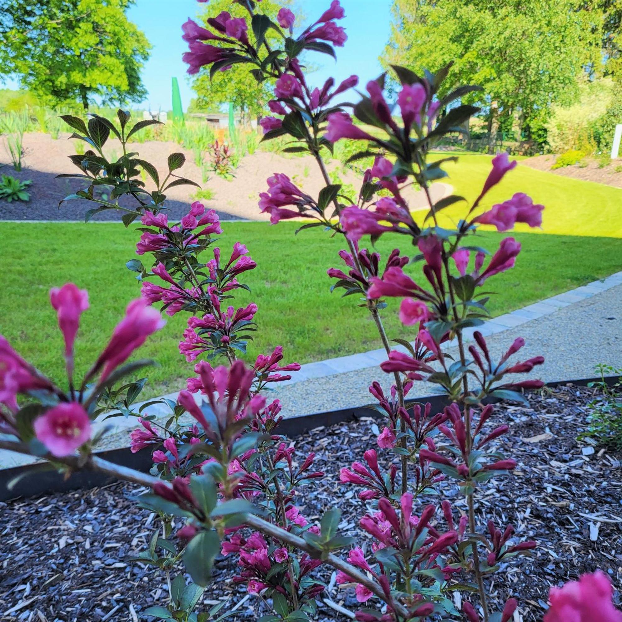 Komfort Ferienwohnungen Mit Wellness-Garten - Gaestehaus Am Bachlauf - Losheim Am See Ruang foto